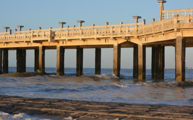 Gelijkvloers zeedijk appartement - lichtrijk en modern
