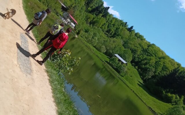 Room in Guest Room - Rural Holiday Transylvania