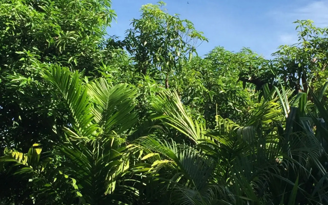 Madagascar Resort Nosy Be