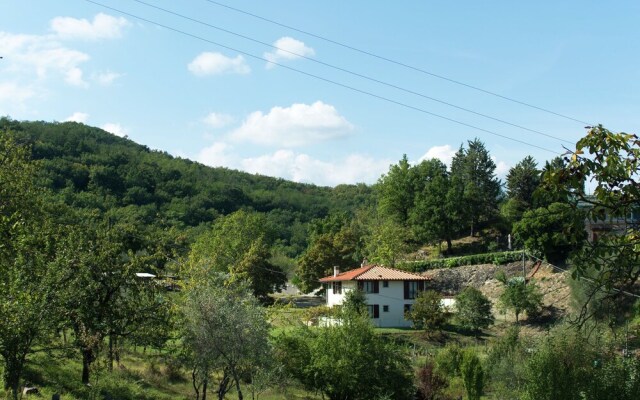 Tranquil Holiday Home in Vicchio With Swimming Pool