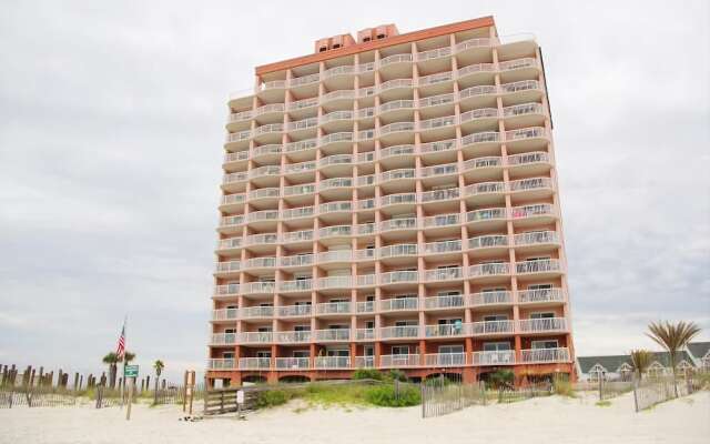 Royal Palms 806NS by RedAwning