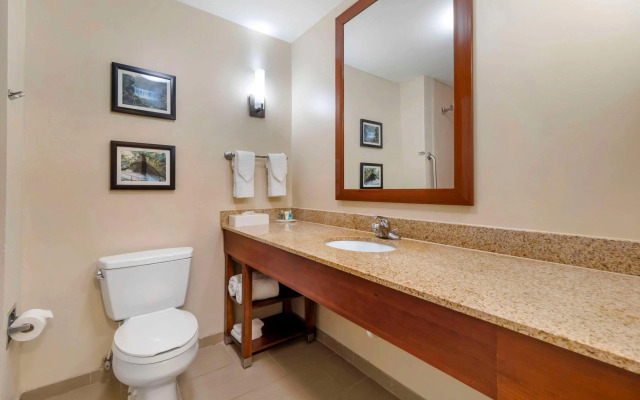 Comfort Suites