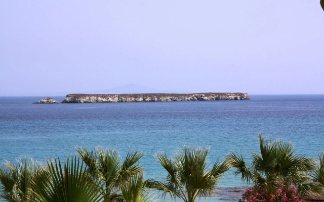 Paros Blue Dolphin