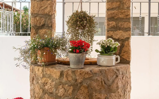 Villa Iole Apartment