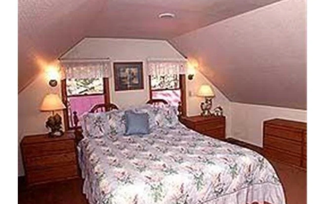 2921 Freel Peak Holiday Home
