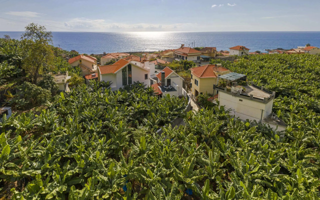 Oscar's House by An Island Apart