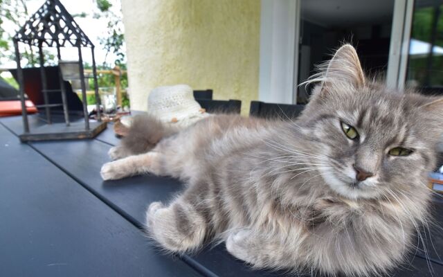 Stunning Holiday Home in Quinévilla Near Beach