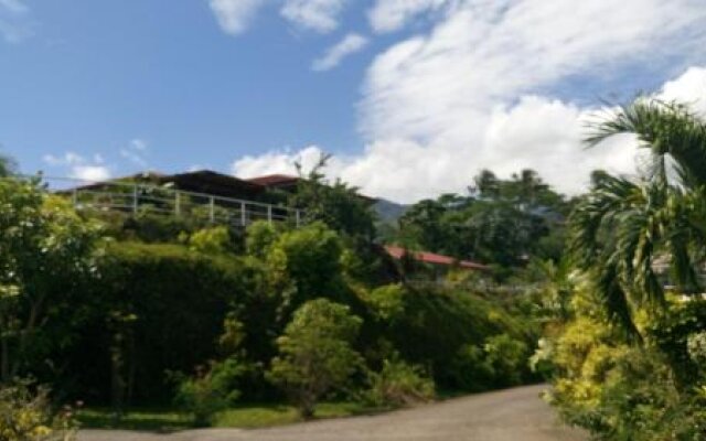 Piafau Hills