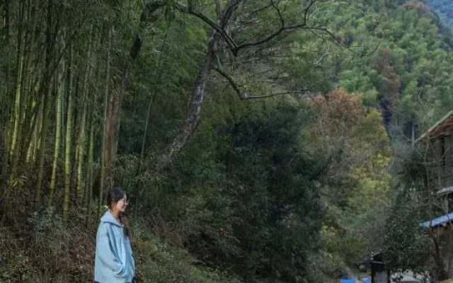 Summer Falls Homestay in Xiazhuang