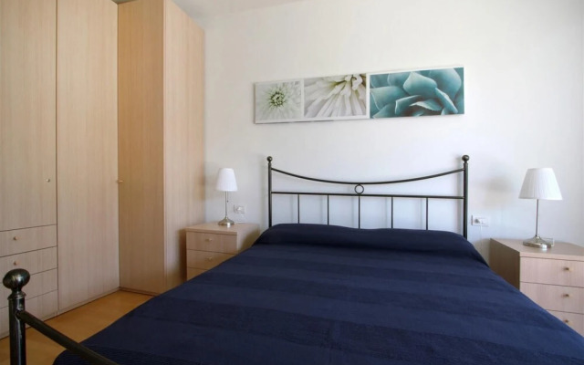 Benacus - Italian Homing