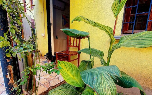 Machabelli Hostel