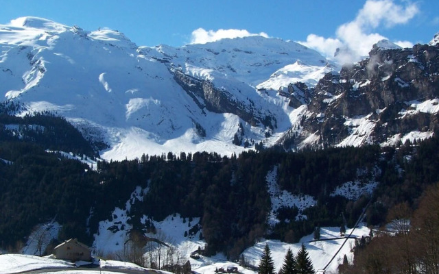 Holiday Apartment 7 Engelberg