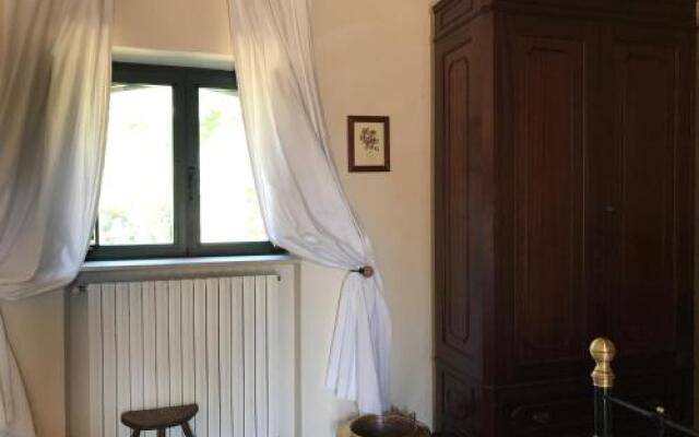 Carrera Della Regina