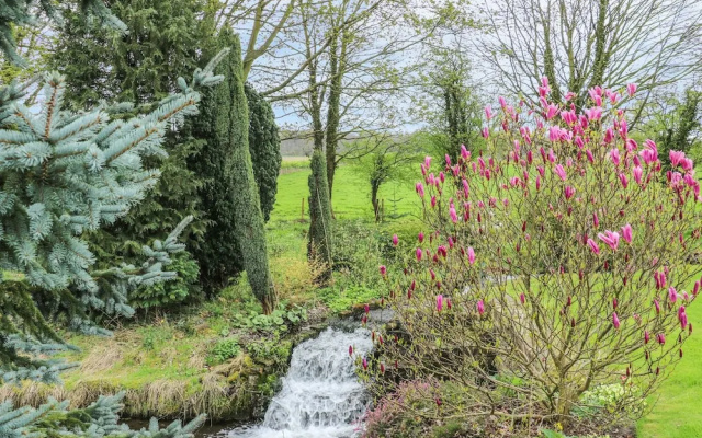 Pond View
