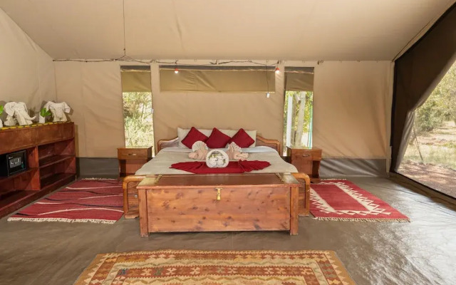 Hammerkop Migration Camp