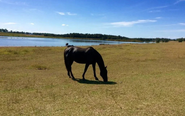 Fig Tree Luxury Guest House