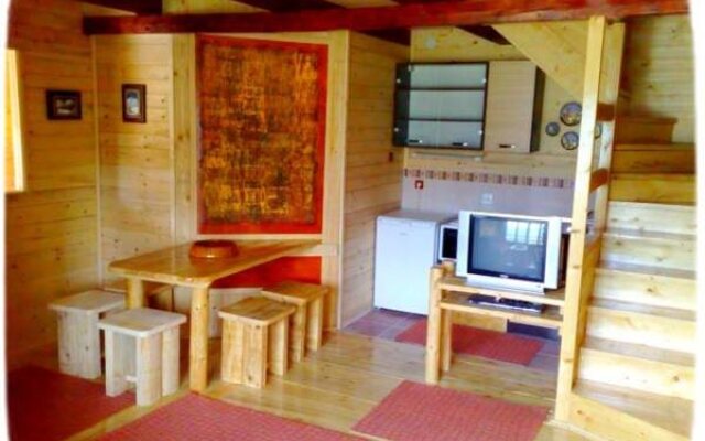 Art Apartments Minic