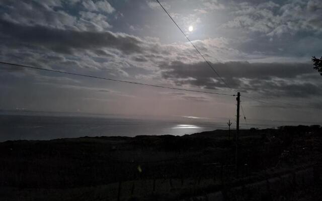 The Tall Pines Studio