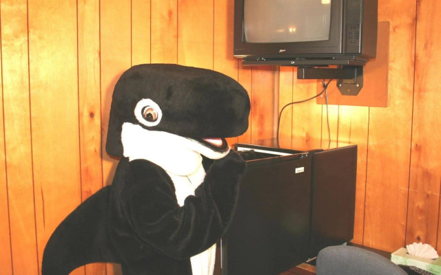 The Orca Inn