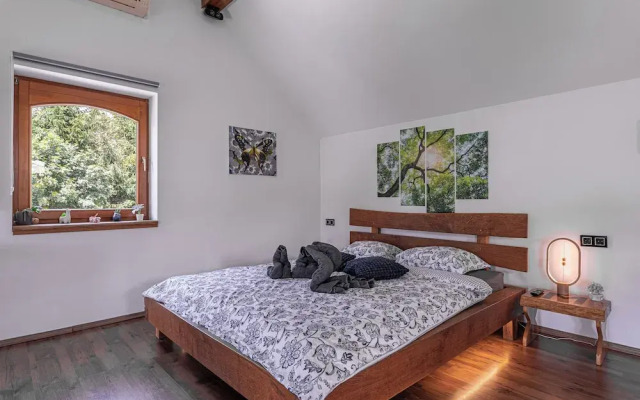 Vineyard cottage Matej