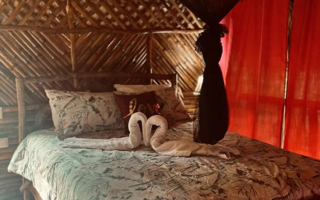Sámana tropical