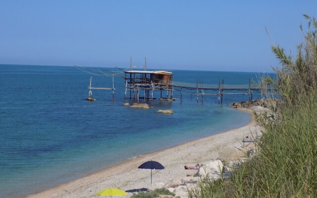 B&B Falcone
