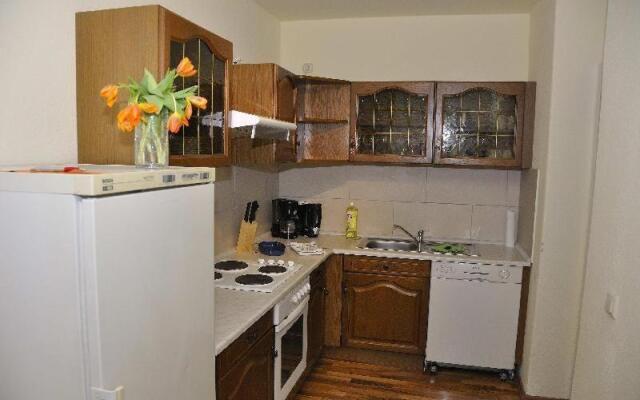 Grosse-Fewo-Dresden-Neustadt-Zentrum-L9