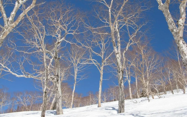 Resort Project Myoko Kogen