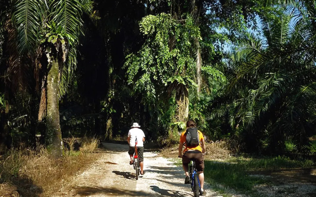 Gopeng Guesthouse & Cafe - Hostel