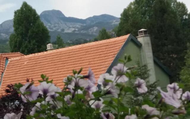 Apartment Mirkovic