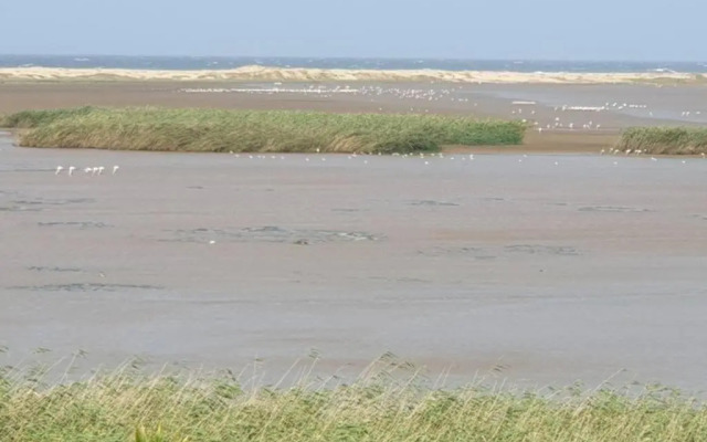 23 Manzini Chalets-Pumba's Den