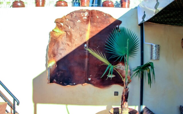 Riad Lalla