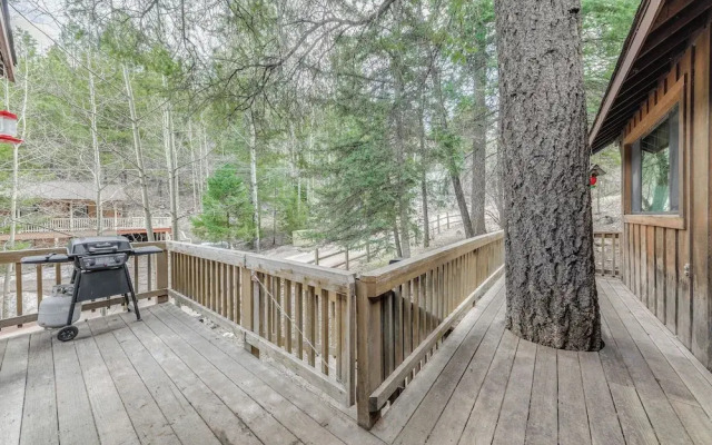 Cloudcroft Cabin Vacation Rental: 3 Mi to Skiing! - фото 4