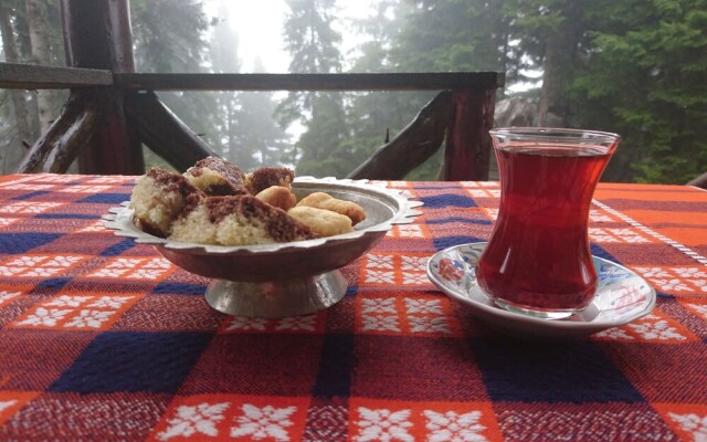 Demircioglu Pokut Dag Evi