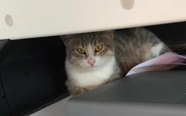 Le Vigne della Duchessa - Guest House