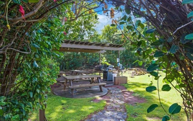 Lahaina Luxury Beach Condos