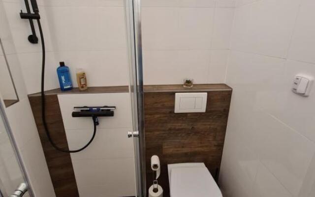 Světlý prostorný byt v Karlíně