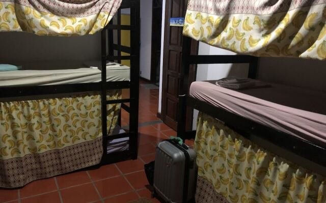 Macaco Surf Hostel
