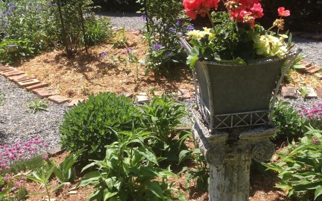 Schoolmaster's House Bed and Breakfast