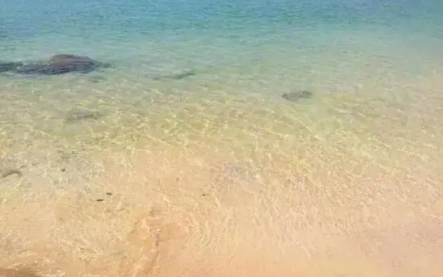 Gree Coast Apartment Hotel (Zhuhai Tangjia SYSU)