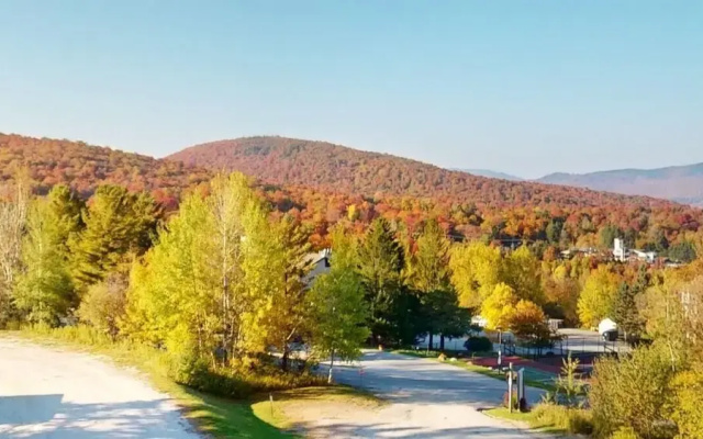 Mt Green 1-d09 in Killington