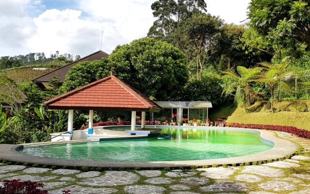 Bamboo Village by Villa