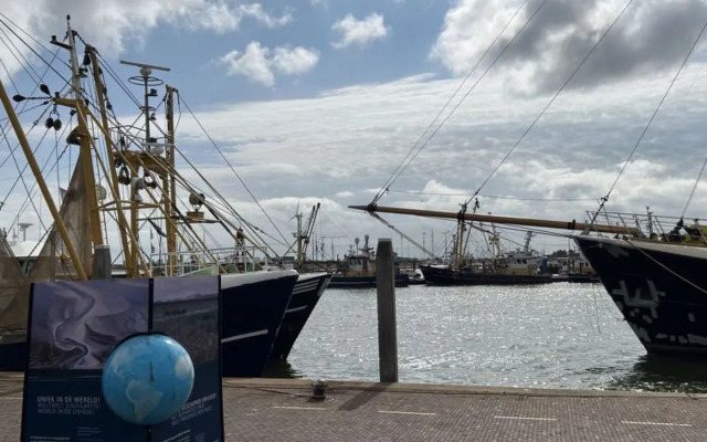 House De Wierde Den Oever