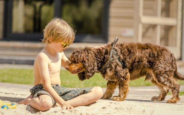 Comfortable Chalet With a Covered Terrace