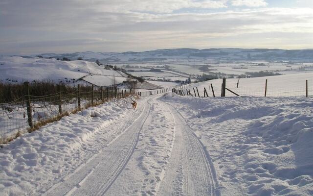 Northlees Farm