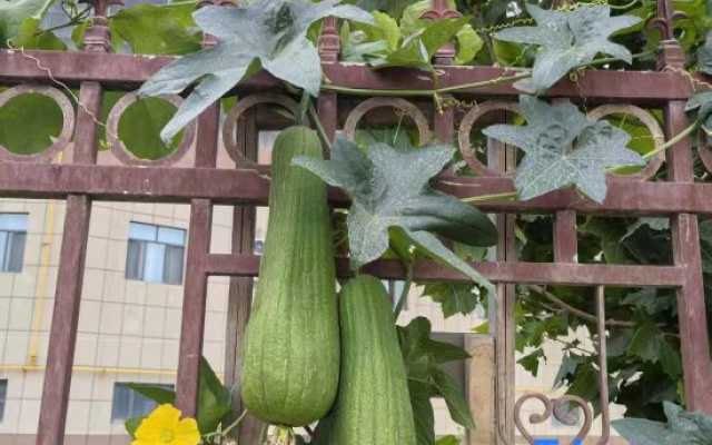 Urba Hotel (Kashi Second Middle School Xiaylan Wetland Park Branch) – Outside – Kashgar