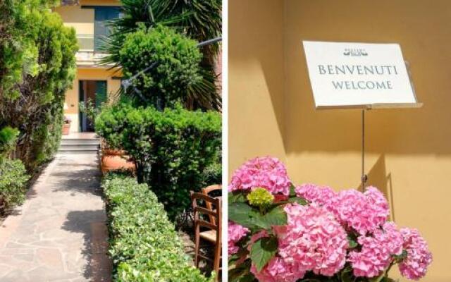 B&B Bellini