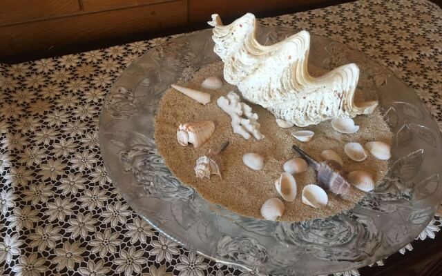 Minshukuyado Intoparitosura <Miyakojima>