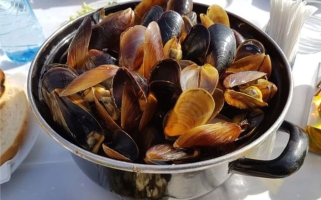 Stunning Beach Apart-sleeps 5! Pool & Sea Views!