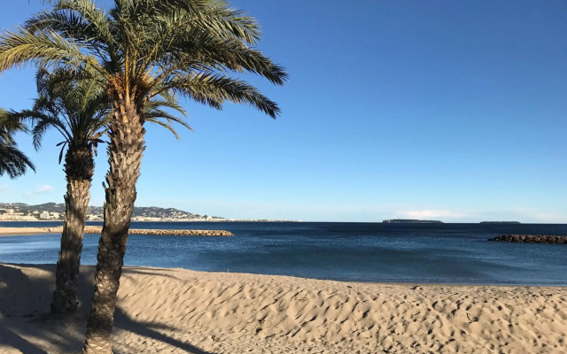 Résidence La Palme d'Azur Cannes Verrerie
